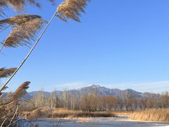 -野鸭湖国家湿地公园