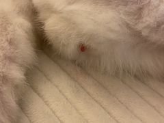 -纳吉亚猫专科动物诊疗中心(蒋宅口分院)