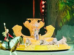 -广州长隆国际大马戏