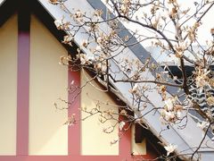 -颐和路民国时期公馆风貌区