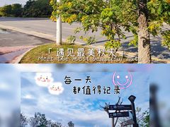 -王借岗森林公园