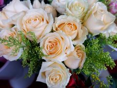 -三圣花乡旅游区