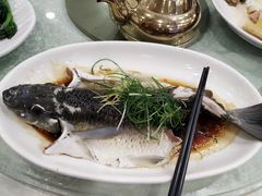 -海晖酒楼·顺德鱼生(荣华店)