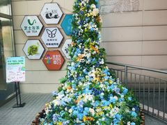 -佛山印象城(季华五路店)