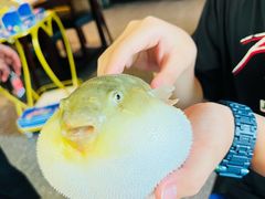 -永安鱼庄·镇江菜(东吴路店)