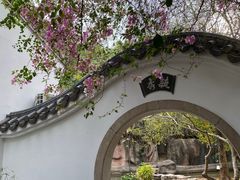 -深圳国际园林花卉博览园