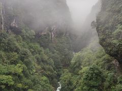 -鹿院坪生态旅游景区
