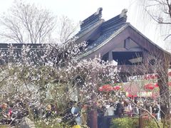 -香雪海