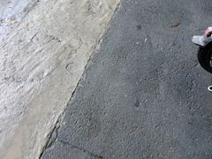 -盛源川香鱼火锅(西小区总店)