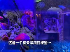 -太平洋海底世界