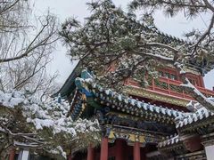 -迎泽公园