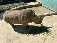 -哈尔滨北方森林动物园