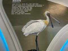 -大连市规划展示中心