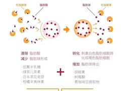 -瑞安第一泡·后街泡泡(虹桥后街店)