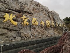 -北京西山国家森林公园