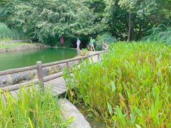 -成都市活水公园
