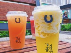 -春丽小马(济南恒隆广场店)