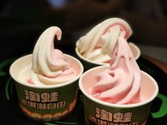 -淘蛙(广州星寰国际商业中心店)