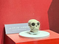 -国家自然博物馆