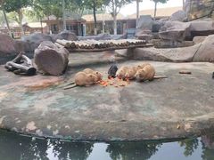 -北戴河集发农业梦想王国