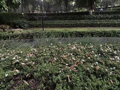 -龙头寺公园