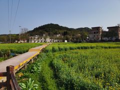 -红山村