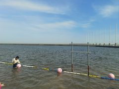 -碧海金沙