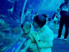 -成都浩海立方海洋公园