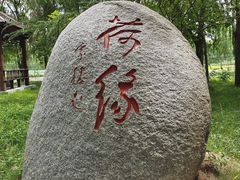 -微山湖红荷湿地景区
