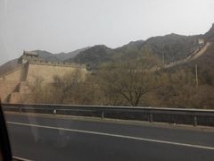 -太原动物园