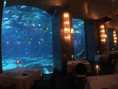 -迪拜帆船酒店海底餐厅