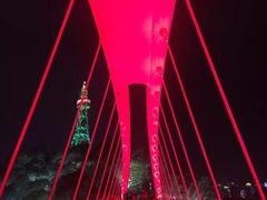 -金鸡山公园