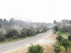 -樱桃山旅游景区