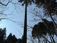 -三千院