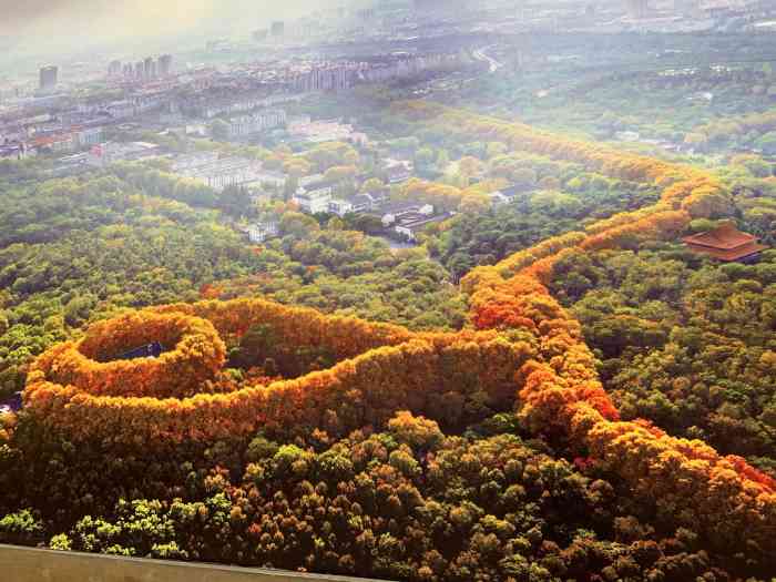 美龄宫-"南京的美,始终逃不开浪漫"梧桐大道",当."-大众点评移动版