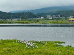 -腾冲北海湿地