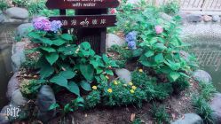 -爱儿美儿童摄影(朝阳公园店)