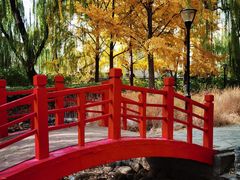 -玲珑塔公园
