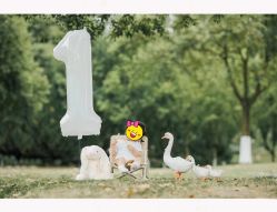 -大连棒棒糖儿童摄影(熊洞街店)