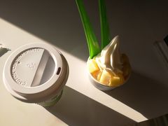 -Salud撒露欧洲冻酸奶(798艺术区店)