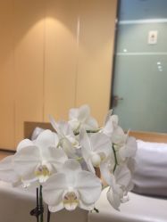-Yestar宁波艺星整形医院