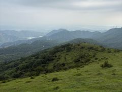 -大姆山草场