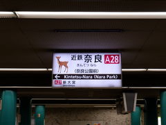 -奈良公园