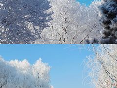 -雾凇岛