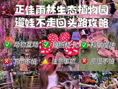 -正佳雨林生态植物园