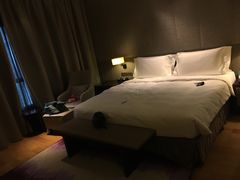-成都雅诗阁来福士