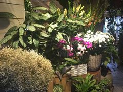 -春暖花开(西溪店)