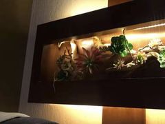 -大桶大足浴(陈春路店（3公里左右免费接送）)