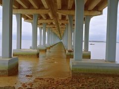 -宝安西湾红树林湿地公园