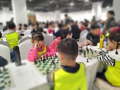 -常青藤国际象棋(新奥店)